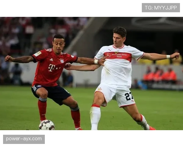 斯图加特优化转会策略,强势重返德甲争冠行列 斯图加特优化转会策略,强势重返德甲争冠行列