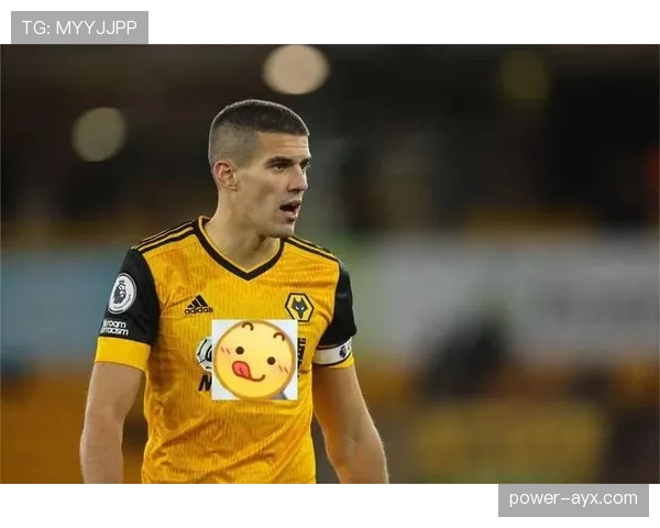 布鲁诺比赛影响指数持续提升，表现稳健备受关注