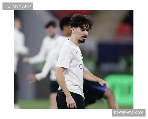 维蒂尼亚防守能力被质疑